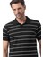 Yatay Çizgili Polo T-Shirt 2
