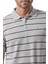 Yatay Çizgili Polo T-Shirt 5