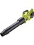 RY36BLXB-150 36V Kömürsüz Motor Akülü Üfleme Makinası (5133005665) 1