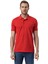 Klasik Polo Yaka T-Shirt 1