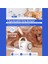 Tüy Tıraş Makinası Furminator / Vücut Pati Yüz Kulak Tarama Kesme / P1 Pro Düşük Desibel Kedi Köpek 6
