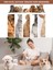 Tüy Tıraş Makinası Furminator / Vücut Pati Yüz Kulak Tarama Kesme / P1 Pro Düşük Desibel Kedi Köpek 8