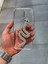 Iphone 16 Pro Max Uyumlu Yılan Figürlü Epoksi Tasarım Sert Şeffaf Silikon Kılıf 1