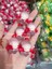 Orijinal Coloful Juice Serisi Pop Bean Labubu Dimoo Crybaby Kubo Aksiyon Figürü Sevimli Oyuncaklar Sürpriz Koleksiyon Model Kız Hediye Kol: Nori 1pc (Yurt Dışından) 1