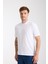 Erkek %100 Pamuk Relax Fit Kertenkele Nakışlı T-Shirt 2