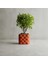 Kapitone Desenli Modern Saksı 1