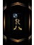 Siyah Desenli Gold D Harfi Ip 15 1
