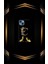 Siyah Desenli Gold B Harfi Ip 15 1
