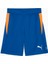 Individual Padel Trg Short Mavi Erkek Şort 4