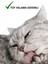 Pati Burun Balm 50 ml | Nemlendirici Çatlak Onarım Kremi | Doğal Organik Içerik | Kedi Köpek 5
