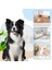 Toplayıcı Rulo ve Kedi Köpek Tüyü Tiftik Toplayıcı Kıyafet Toz Toplama Rulosu Yapışkanlı ve Saplı Xl 3