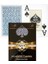 Jumbo Boy Plastik Poker Oyun Kağıdı (Casino Playing Cards) (Mavi) 2