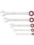 Professional, Cırcırlı Anahtar Seti, Anahtar Takımı 5 Parça, 8,10,13,17,19MM, 1600A02Z3D, Mavi 1