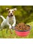 Seyahat Mama Su Kabı Katlanabilir Kedi - Köpek 4