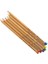 Renkli Kalem Pitt Pastel Renk 155 2