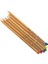 Renkli Kalem Pitt Pastel Renk 155 3