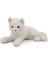 Minnoş, Kedi, 31 cm 1