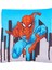Lisanslı Spiderman City 40X40 Kırlent Renkli/baskılı 1