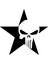 Yıldız Içinde Punisher Sticker Oto Motor Laptop Duvar Folyo Sticker 60 x 60 cm 1