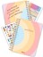 Color 17 Aylık Akademik Ajanda 17X24 Spiralli 23/24 Stickerlı Sunny 1