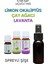 Okaliptüs Limon 5 Ml, Çay Ağacı 10 Ml, Lavanta Uçucu Yağı 10 Ml, Spreyli Şişe, E Citriodora 1