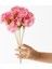 Yapay Ortanca Çiçeği 35 cm 7 Dal Fuşya 1