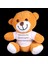 Öğretmenler Günü Hediyesi Peluş Ayıcık - HNK7980-8744 1