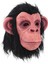Siyah Saçlı Kafaya Tam Geçmeli Lateks Şempanze Maskesi - Lateks Maymun Orangutan - HNK4824-2173 3