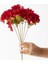 Yapay Ortanca Çiçeği 35 cm 7 Dal Kırmızı 1
