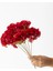 Yapay Ortanca Çiçeği 35 cm 7 Dal Kırmızı 2