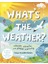 Whats The Weather? 1