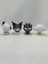 Kuromi Pvc Figür – Hafif Tasarım - Sanrio Karakter Figürleri 6