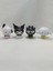Pachacco Pvc Figür – Hafif Tasarım - Sanrio Karakter Figürleri 6