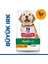 Hills Puppy Large Büyük Irk Yavru Köpek Maması 14.5 kg 1