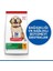 Hills Puppy Large Büyük Irk Yavru Köpek Maması 14.5 kg 2