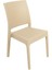 Elit Rattan Sandalye (2 adet) ÇÖLBEJİ 1