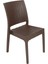 Elit Rattan Sandalye (2 adet) Kahverengi 1