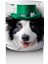 Yoncalarla Süslenmiş St. Patrick’s Temalı Border Collie - Baskılı Kahve Kupası 3