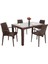 Elit Rattan 90x150 4 kişilik Nirvana Koltuk Camlı Masa Takımı Kahverengi 1