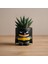 Batman Figürlü Mini Saksı 1
