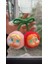 Cherry Crybaby Love God's Gözyaşı Serisi Peluş Asma Kart Tatlı Anahtar Kolye Kolye Peluş Bebek Tatlı Bebek Kawaii Süslemesi Hediye Rolor: 2 Pcs Head (Yurt Dışından) 1