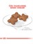 Mini Adult Küçük Irk Yetişkin Köpek Maması 2 Kg 4