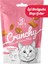 Crunchy Somonlu ve Catnipli Kedi Ödül Maması 60GR 1