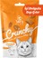 Crunchy Tavuklu ve Catnipli Kedi Ödül Maması 60G 1