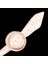 Dot Taıl 2.5" Nokta Kuyruklu Light Game Solucan Yem 502 Clear Rd - (20026502) 5