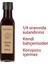 Vişne Konsantresi 250ML 2