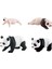 Simülasyon Döngüsü Panda Panda Döngüsü B'nin 4 Aşaması (Yurt Dışından) 3