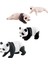 Simülasyon Döngüsü Panda Panda Döngüsü B'nin 4 Aşaması (Yurt Dışından) 5