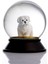 Cam ve Reçine Altın Patiler Köpek Maltese Terrier Kar Küresi Hediye 2