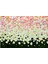 Arka Fon,çicekler, Floral,okul Etkinlik,okul Kumaş Pano 150X200 1